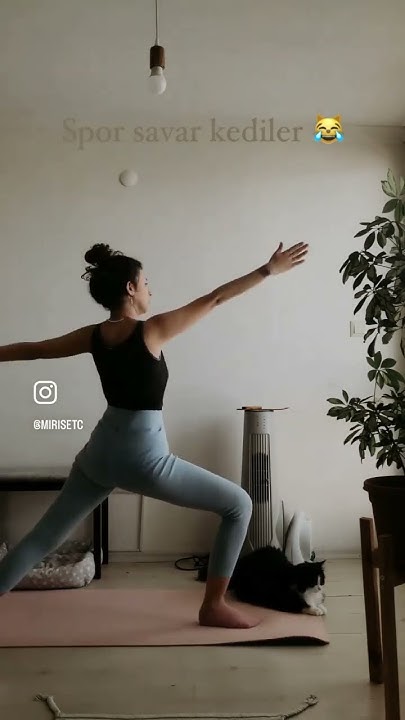 Büyük Kedilerle Yoga: Panther Ridge’de Unutulmaz Bir Deneyim